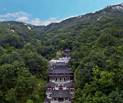 景區(qū)運(yùn)營解決方案3