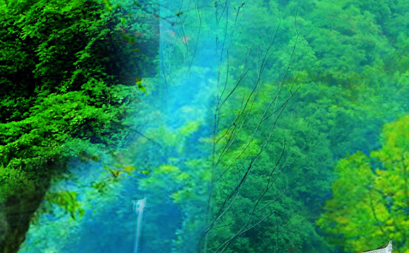 景區(qū)一卡通票務系統方案