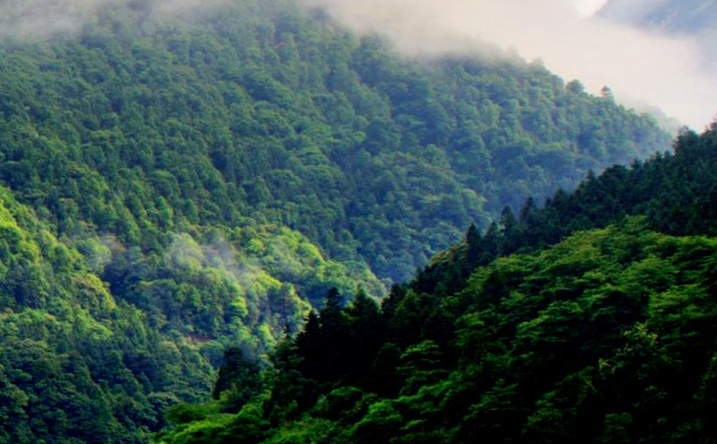 通過抖音對(duì)景區(qū)營銷推廣