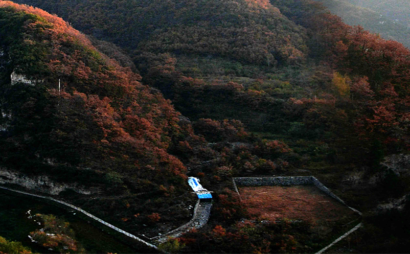 景點地網(wǎng)絡(luò)直播