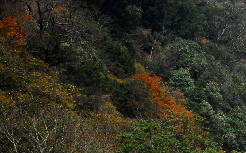 影視旅游目的地集合粉絲群體，助力景區(qū)精準營銷