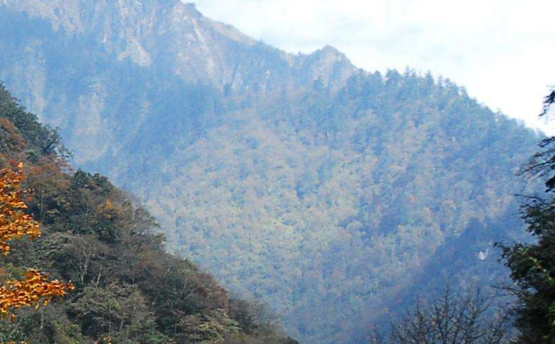 影視旅游目的地集合粉絲群體，助力景區(qū)精準(zhǔn)營銷