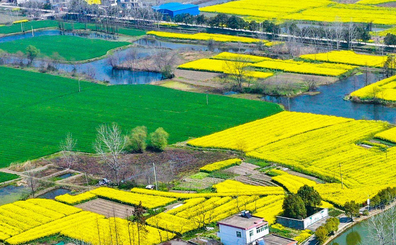 社會(huì)化媒體營(yíng)銷(xiāo)慢慢取代旅游景區(qū)以往的營(yíng)銷(xiāo)方式