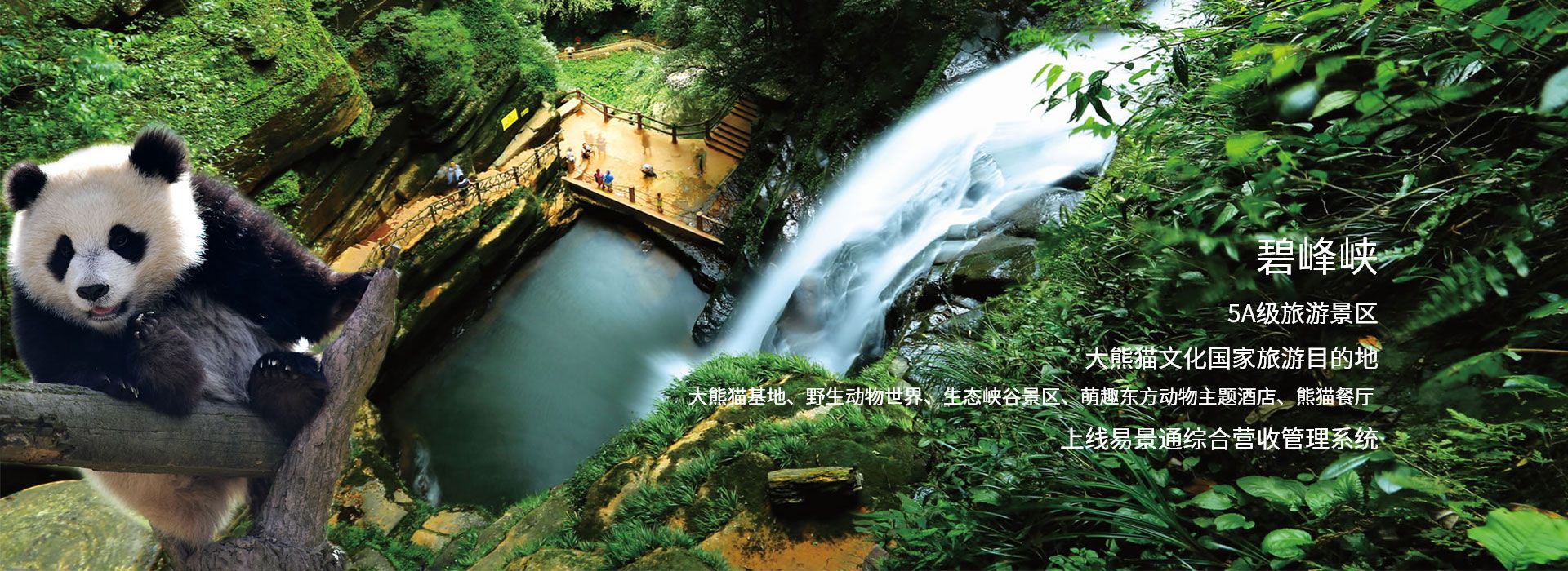 易景通景區(qū)票務(wù)系統(tǒng)和碧峰峽5A旅游景點(diǎn)達(dá)成合作