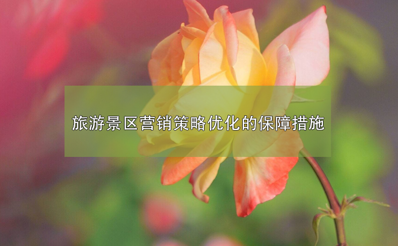 旅游景區(qū)營銷策略優(yōu)化的保障措施 