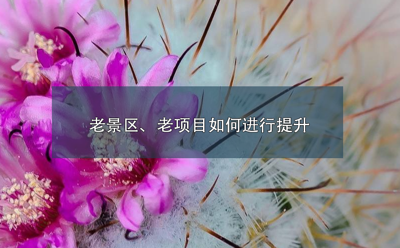 老景區(qū)、老項(xiàng)目如何進(jìn)行提升