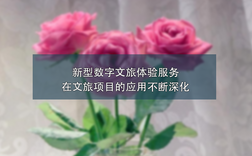 新型數(shù)字文旅體驗(yàn)服務(wù)在文旅項(xiàng)目的應(yīng)用不斷深化