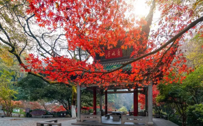 網(wǎng)紅景區(qū)憑什么脫穎而出？