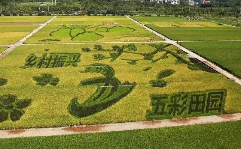 游客旅游需求和觀念變化推動(dòng)景區(qū)轉(zhuǎn)型升級(jí)