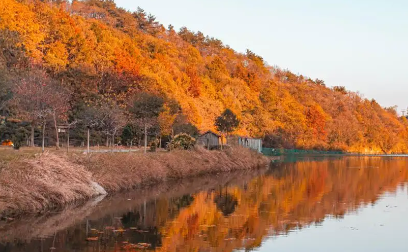湖北景區(qū)票務系統(湖北門票分時預約系統)