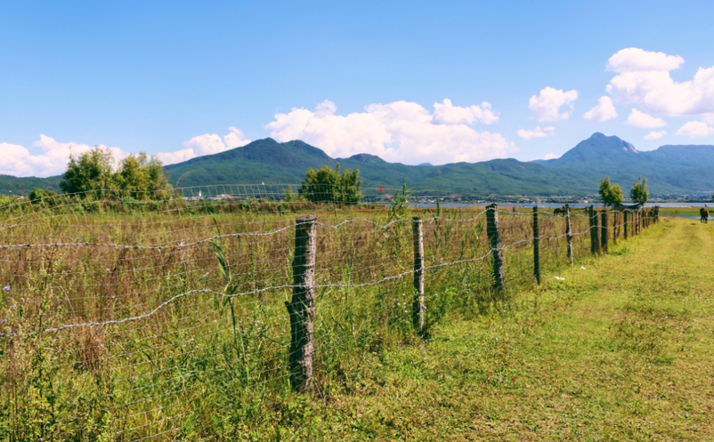 農村智慧旅游