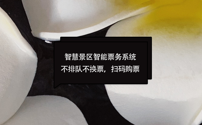 智慧景區(qū)智能票務(wù)系統(tǒng)不排隊(duì)不換票，掃碼購(gòu)票