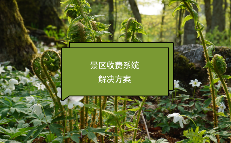 景區(qū)收費系統(tǒng)解決方案