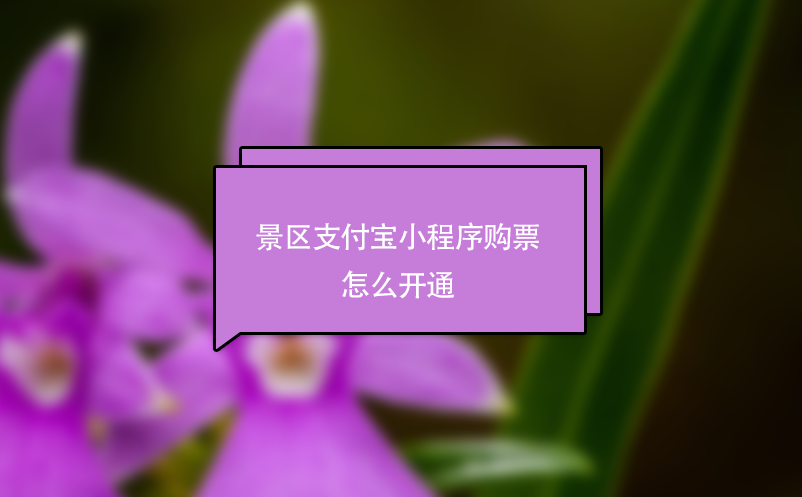 景區(qū)支付寶小程序購票怎么開通？