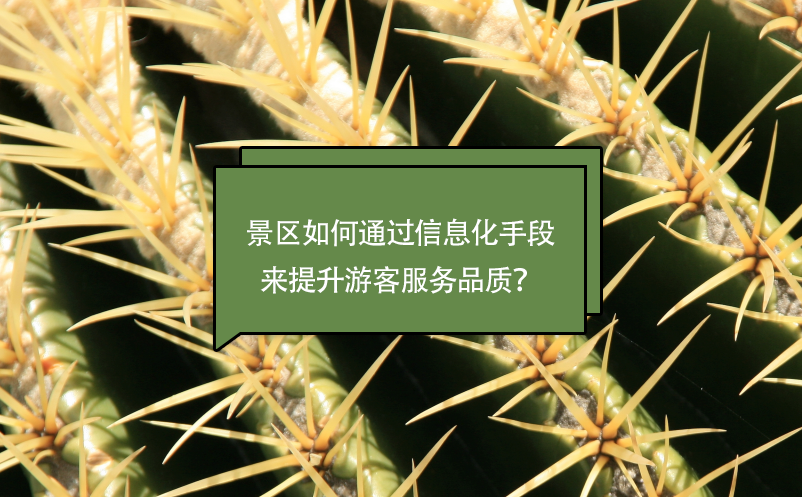 景區(qū)如何通過(guò)信息化手段來(lái)提升游客服務(wù)品質(zhì)？