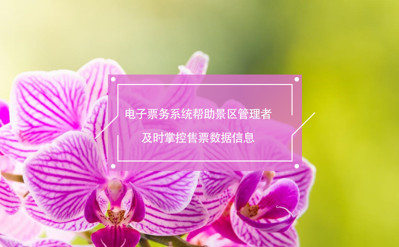 電子票務(wù)系統(tǒng)幫助景區(qū)管理者及時(shí)掌控售票數(shù)據(jù)信息