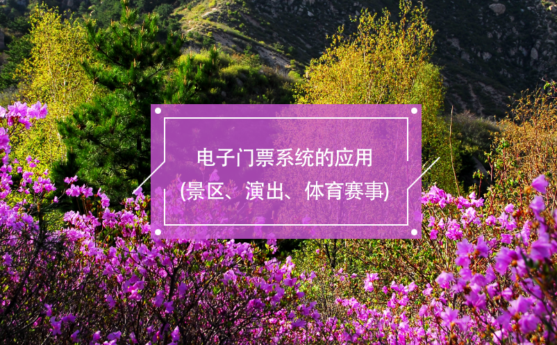 電子門票系統(tǒng)的應(yīng)用(景區(qū)、演出、體育賽事)