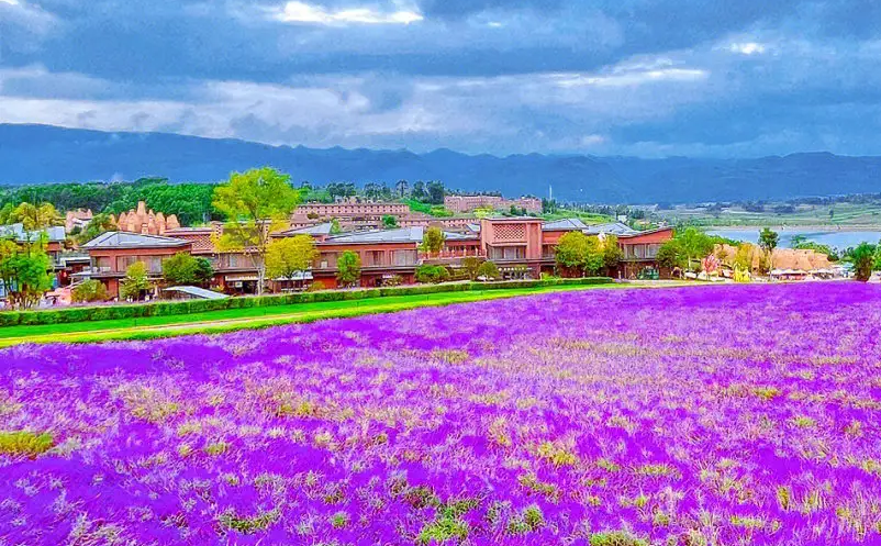 景區(qū)門票銷售混亂怎么辦？試試易景通景區(qū)票務(wù)系統(tǒng)