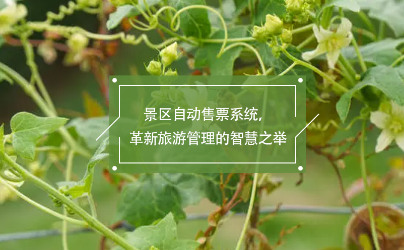 景區(qū)自動(dòng)售票系統(tǒng)，革新旅游管理的智慧之舉