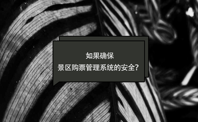 如果確保景區(qū)購票管理系統(tǒng)的安全？