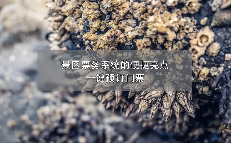 景區(qū)票務(wù)系統(tǒng)的便捷亮點：一鍵預(yù)訂門票