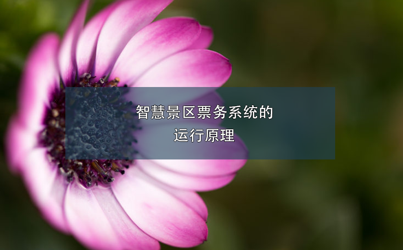 智慧景區(qū)票務系統(tǒng)的運行原理