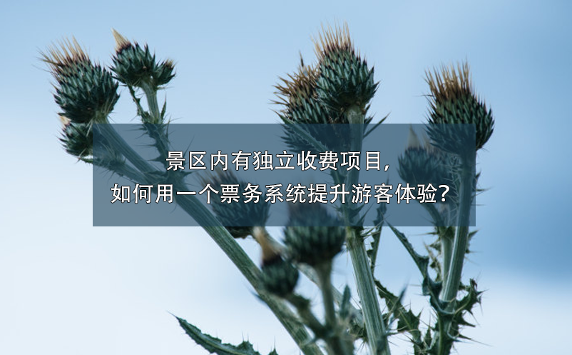 景區(qū)內(nèi)有獨(dú)立收費(fèi)項(xiàng)目，如何用一個(gè)票務(wù)系統(tǒng)提升游客體驗(yàn)？