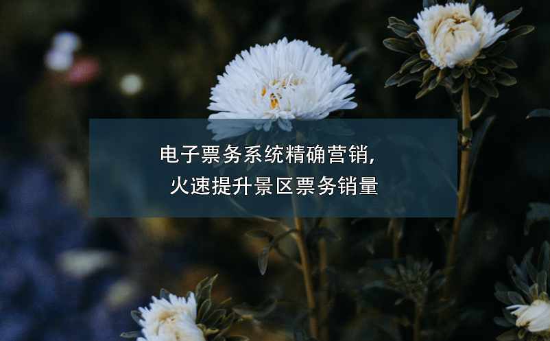 電子票務(wù)系統(tǒng)精確營銷，火速提升景區(qū)票務(wù)銷量