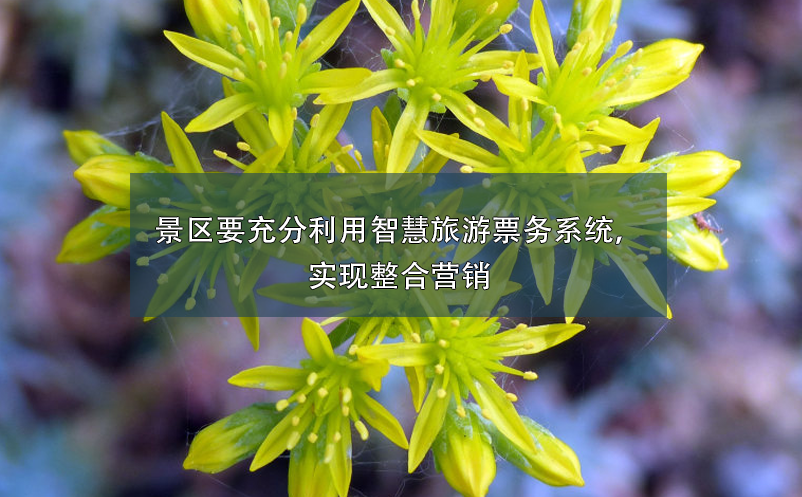 景區(qū)要充分利用智慧旅游票務(wù)系統(tǒng)，實(shí)現(xiàn)整合營(yíng)銷(xiāo)