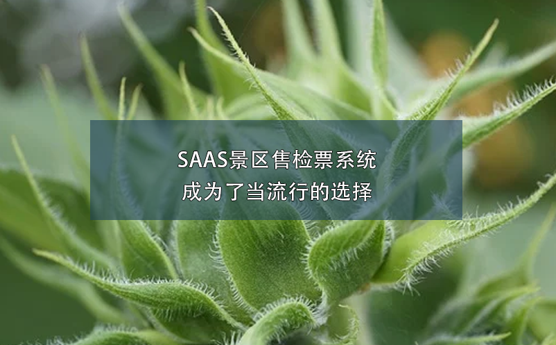 SAAS景區(qū)售檢票系統(tǒng)成為了當流行的選擇