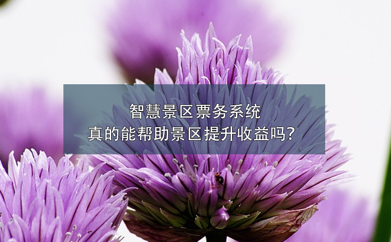 智慧景區(qū)票務系統(tǒng)真的能幫助景區(qū)提升收益嗎？