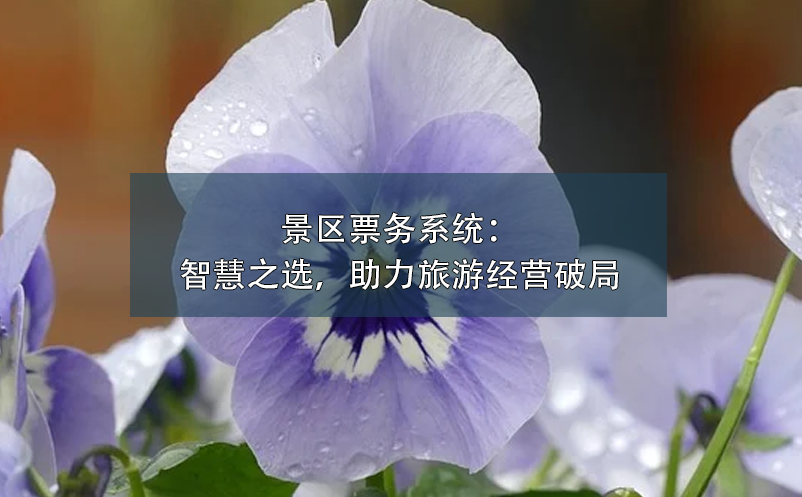 景區(qū)票務(wù)系統(tǒng)：智慧之選，助力旅游經(jīng)營破局
