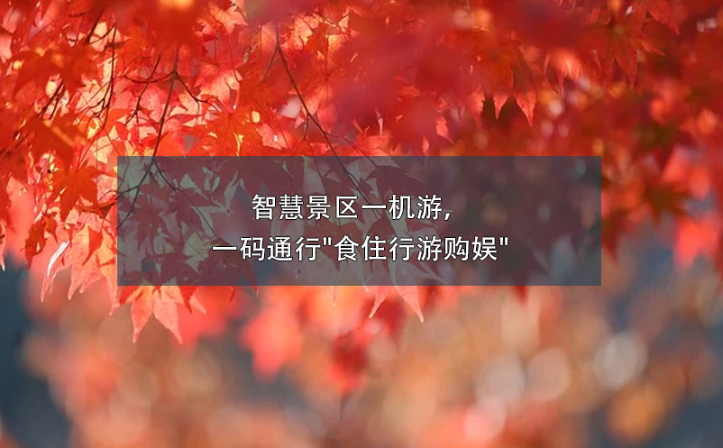 智慧景區(qū)一機(jī)游，一碼通行