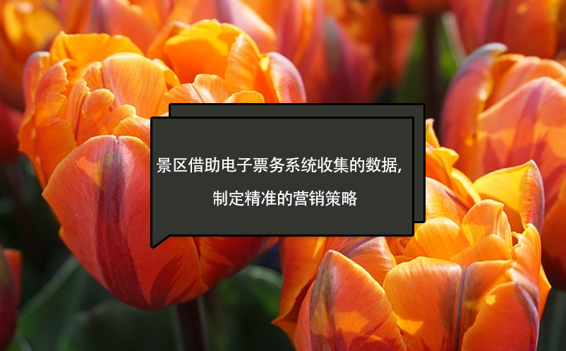 景區(qū)借助電子票務(wù)系統(tǒng)收集的數(shù)據(jù)，制定精準(zhǔn)的營銷策略
