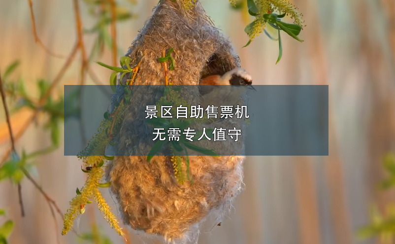 景區(qū)自助售票機(jī)無(wú)需專(zhuān)人值守