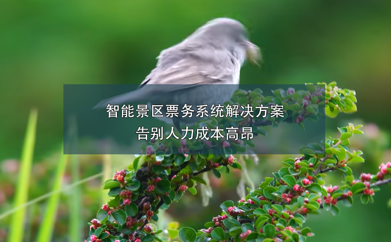 端午小長假，智能票務(wù)系統(tǒng)如何在確保游客體驗和提升景區(qū)的管理？