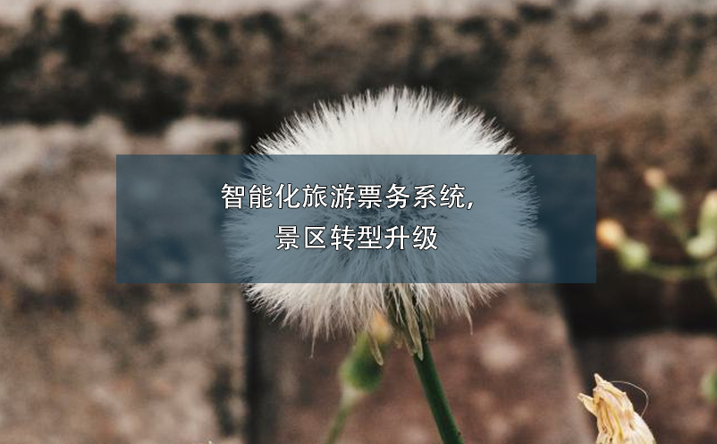 智能化旅游票務(wù)系統(tǒng)，景區(qū)轉(zhuǎn)型升級(jí)